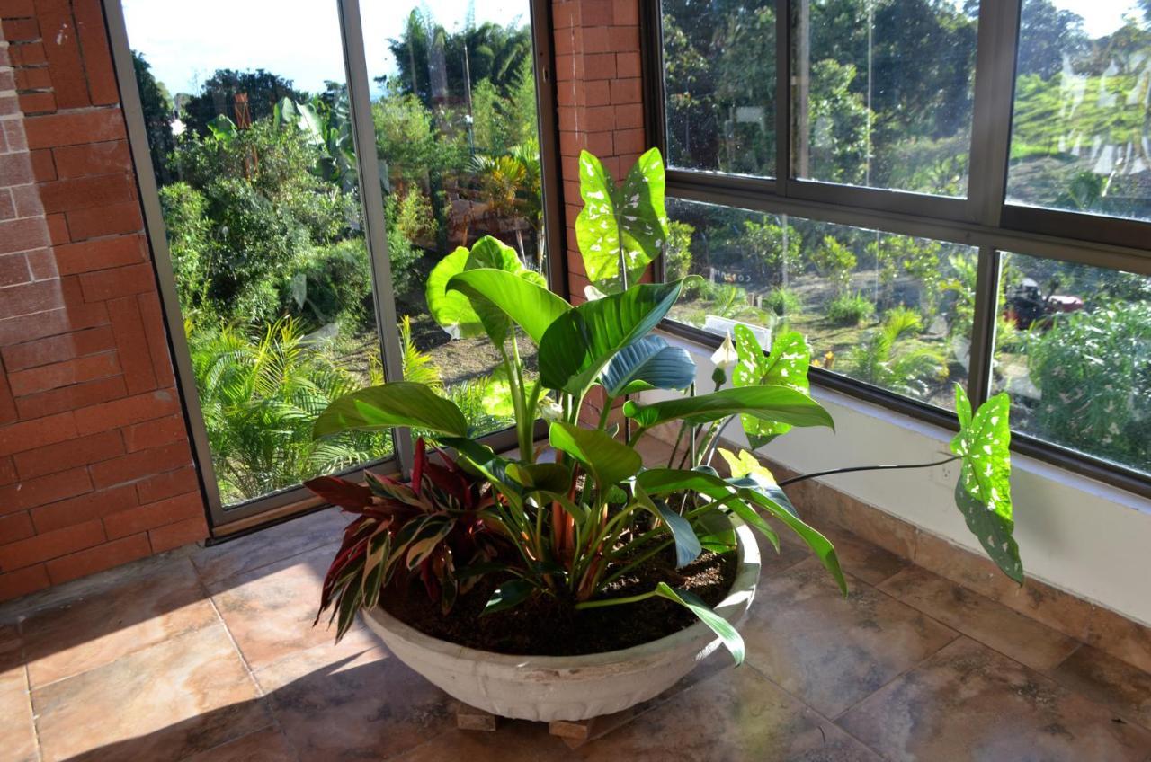 פילנדיה Aromarte Finca Hotel מראה חיצוני תמונה